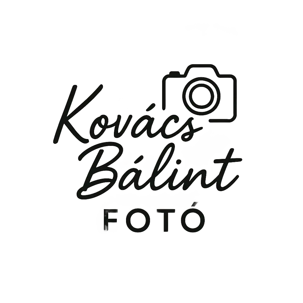 Kovács Bálint Logó