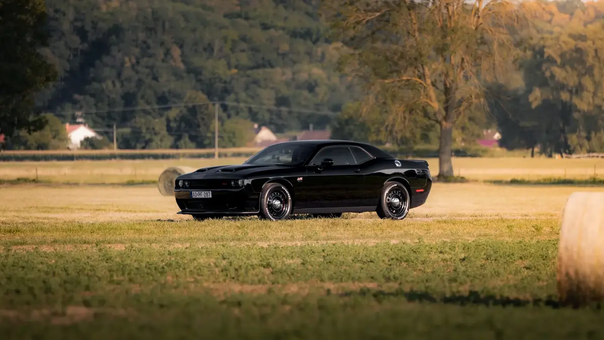 Fekete Dodge Challenger a nyári mezőn, oldalnézetben